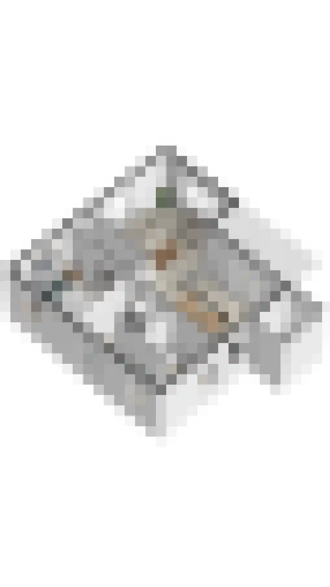 Zandduynen 21 Cadzand thumbnail 33