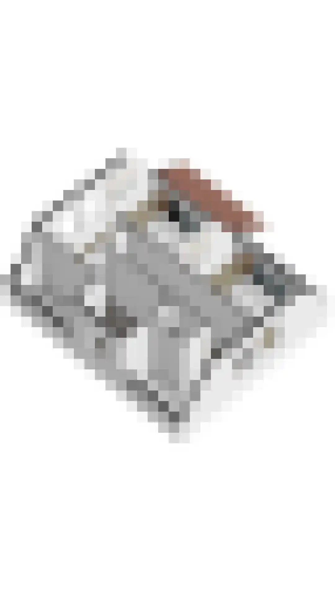 Zandduynen 21 Cadzand thumbnail 34