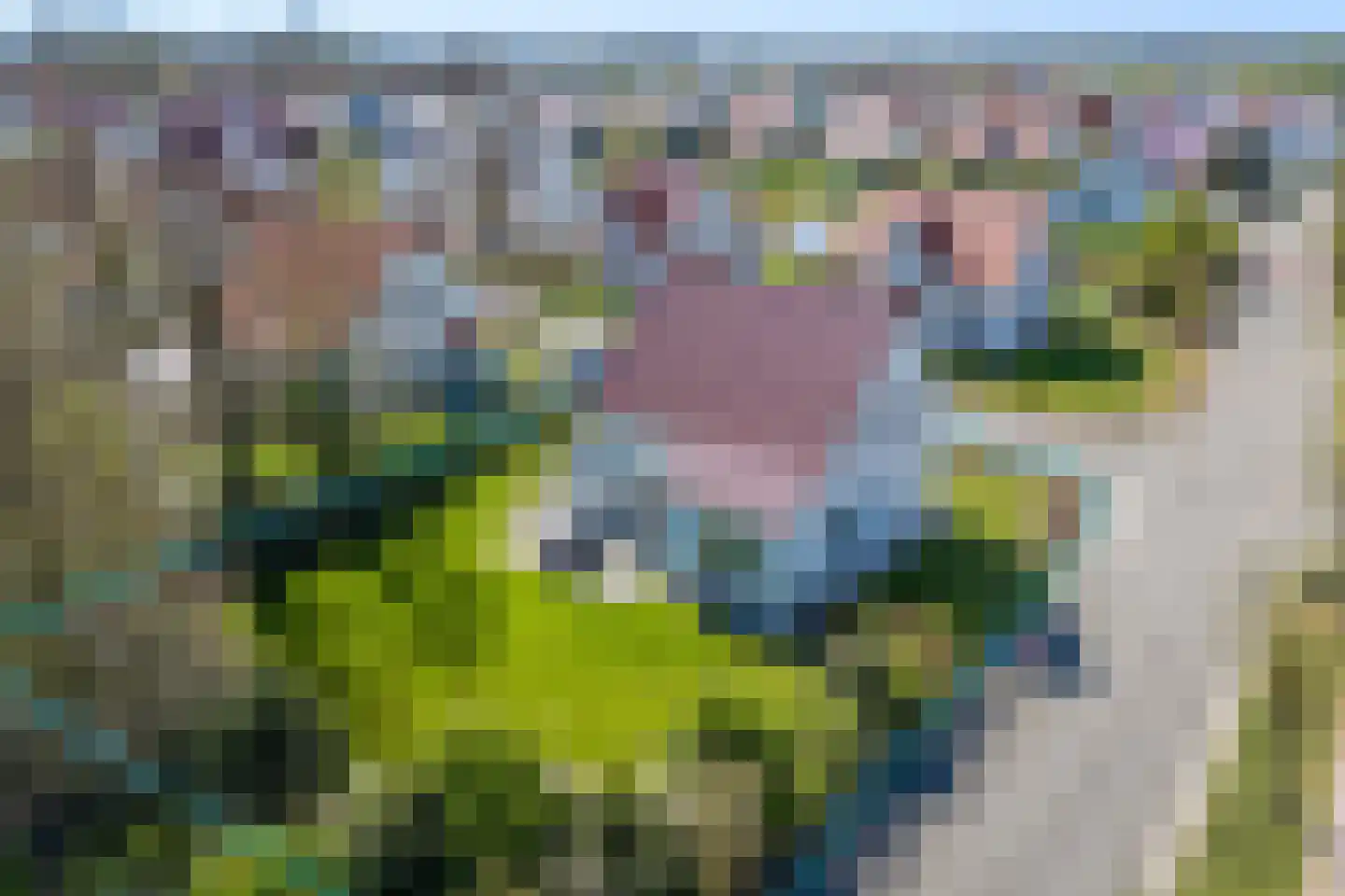 Zandduynen 21 Cadzand thumbnail 9