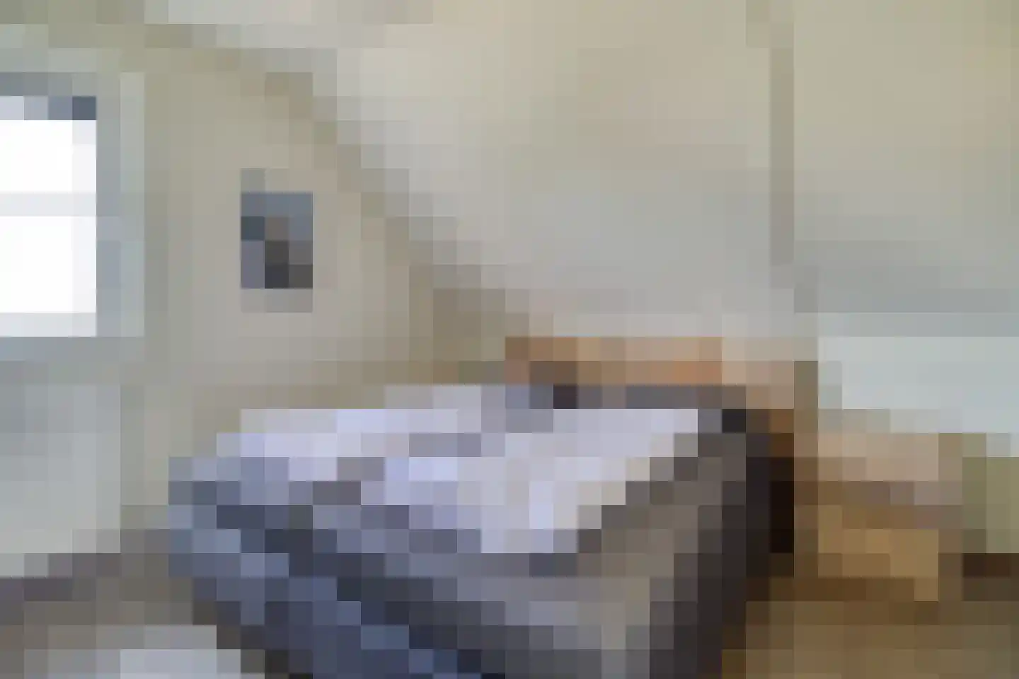 Zandduynen 23 Cadzand thumbnail 14