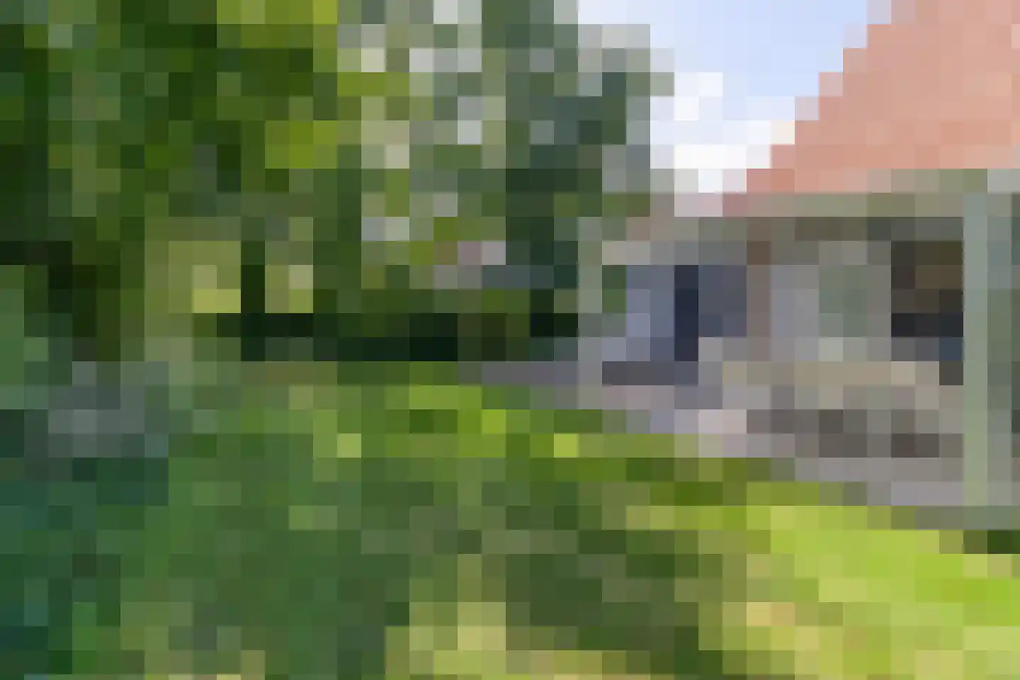 Zandduynen 23 Cadzand thumbnail 25