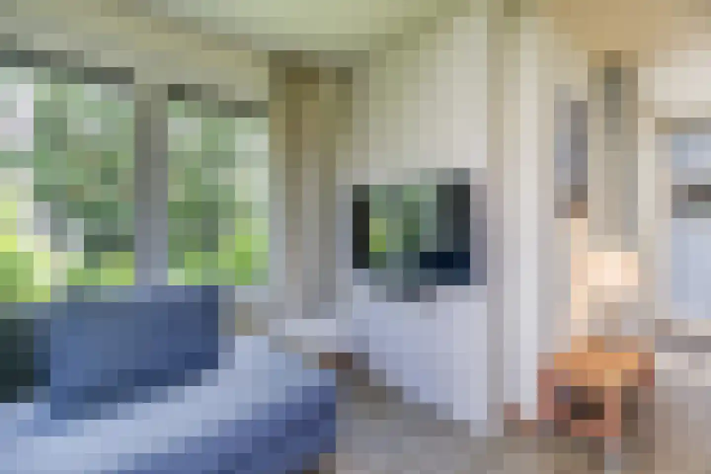 Zandduynen 23 Cadzand thumbnail 5