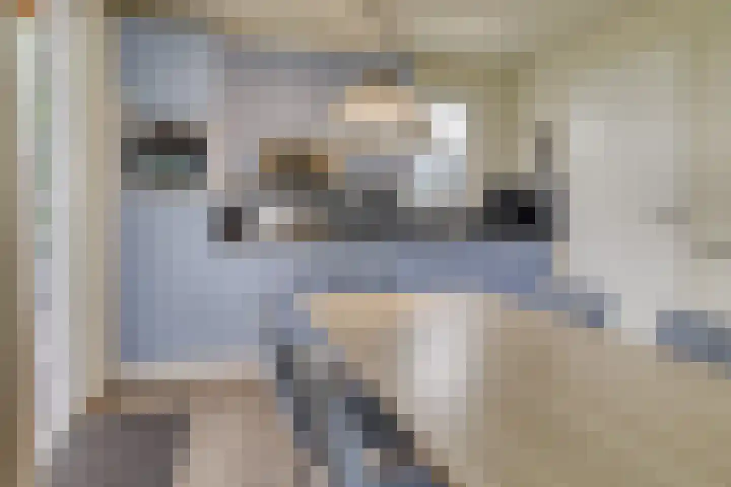 Zandduynen 23 Cadzand thumbnail 7