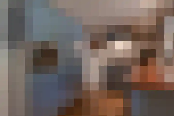 Zanddwarsstraat 6 Yerseke thumbnail 13