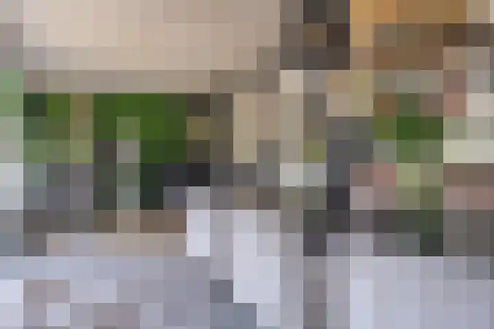 Zanddwarsstraat 6 Yerseke thumbnail 23