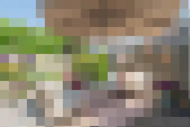 Zanddwarsstraat 6 Yerseke thumbnail 25
