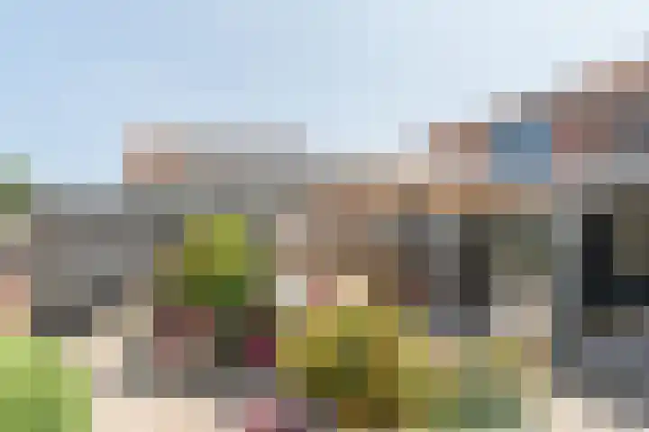 Zanddwarsstraat 6 Yerseke thumbnail 26