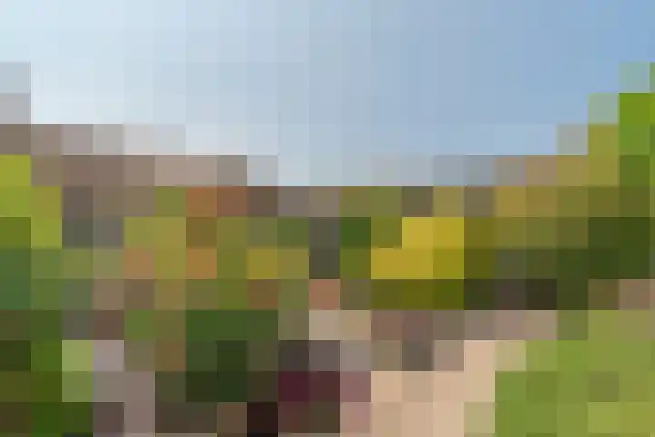 Zanddwarsstraat 6 Yerseke thumbnail 27
