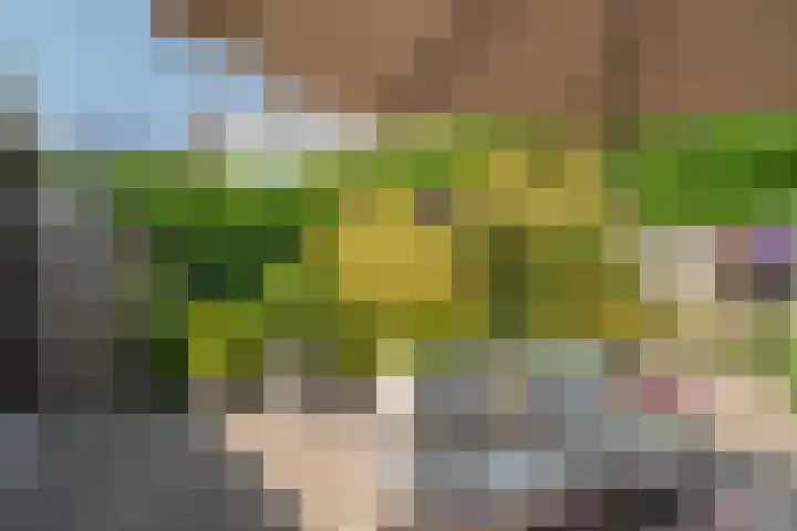 Zanddwarsstraat 6 Yerseke thumbnail 28