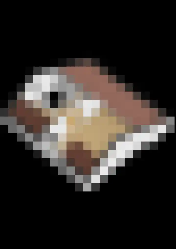 Zanddwarsstraat 6 Yerseke thumbnail 36