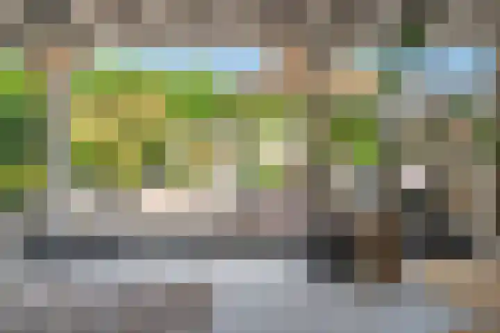 Zanddwarsstraat 6 Yerseke thumbnail 4