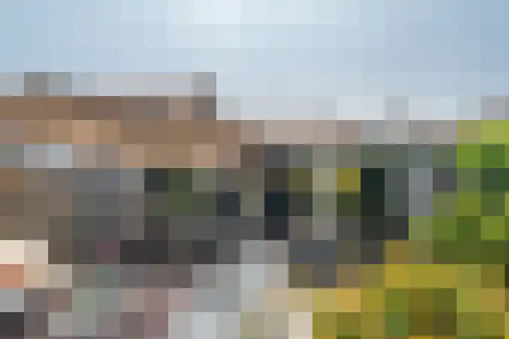 Zanddwarsstraat 6 Yerseke thumbnail 5