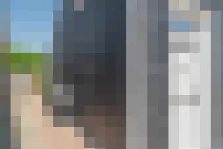 Zanddwarsstraat 6 Yerseke thumbnail 7