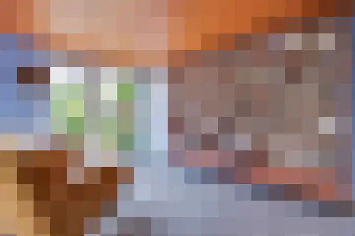 Zandeiland 20 Eindhoven thumbnail 13