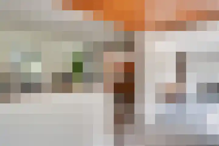 Zandeiland 20 Eindhoven thumbnail 17