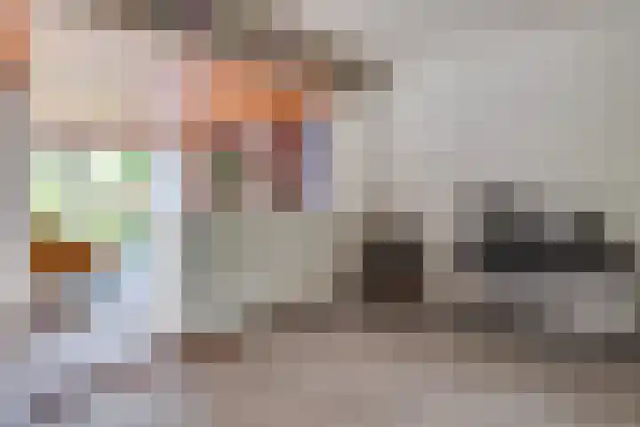 Zandeiland 20 Eindhoven thumbnail 19