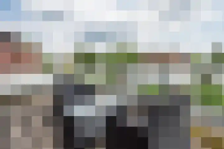 Zandeiland 20 Eindhoven thumbnail 39