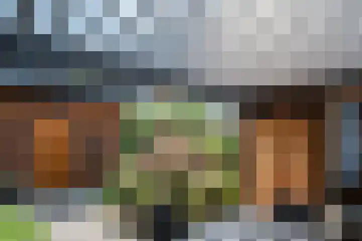 Zandeiland 20 Eindhoven thumbnail 46