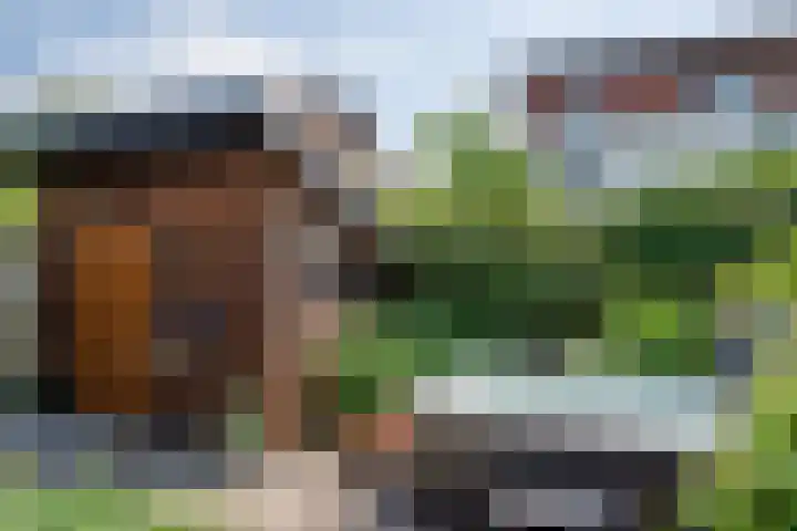 Zandeiland 20 Eindhoven thumbnail 48