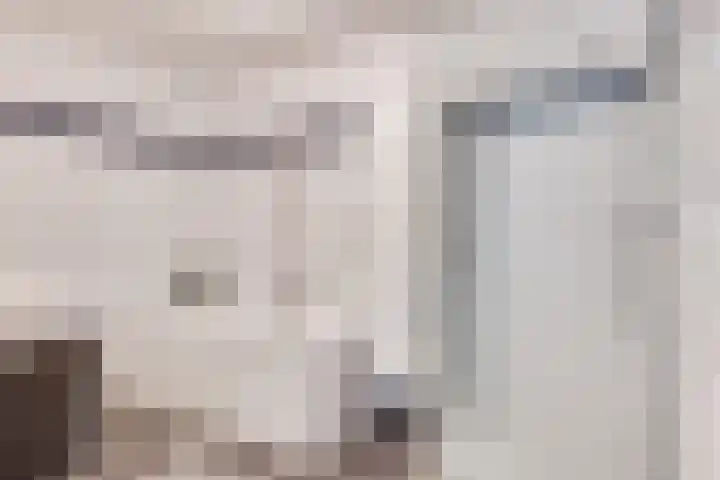Zandeiland 22 Eindhoven thumbnail 22