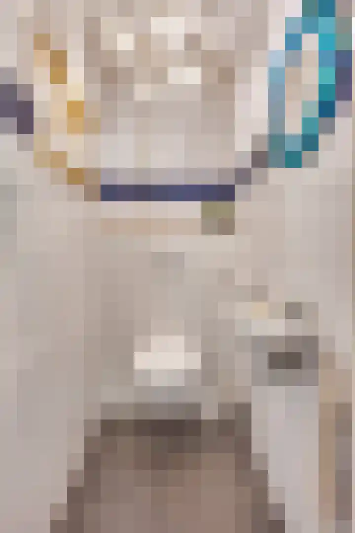 Zandeiland 22 Eindhoven thumbnail 34