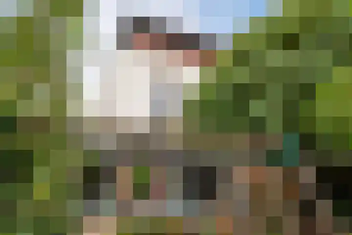 Zandeiland 22 Eindhoven thumbnail 38