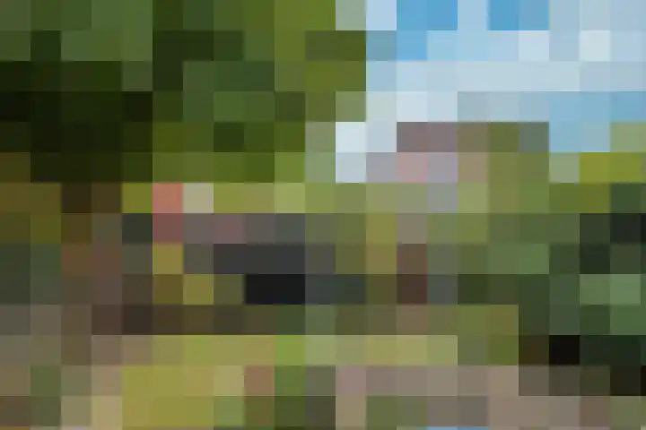 Zandeiland 22 Eindhoven thumbnail 41