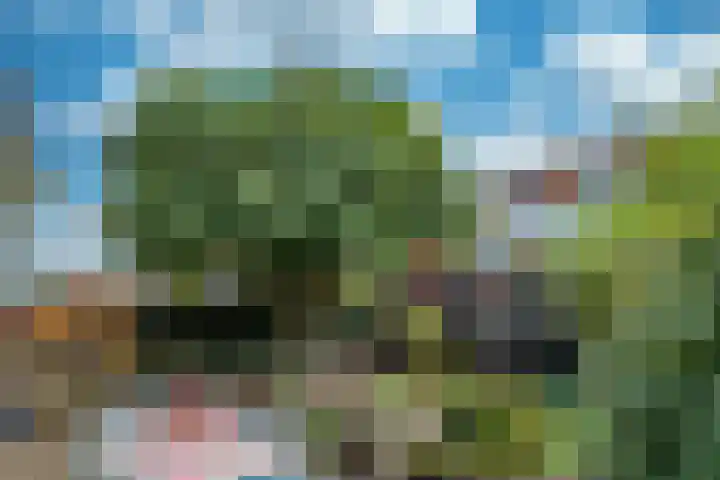 Zandeiland 22 Eindhoven thumbnail 42