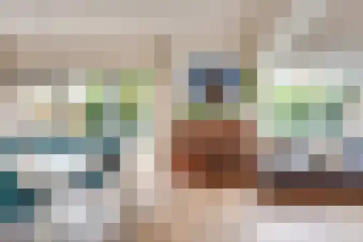 Zandeiland 22 Eindhoven thumbnail 8