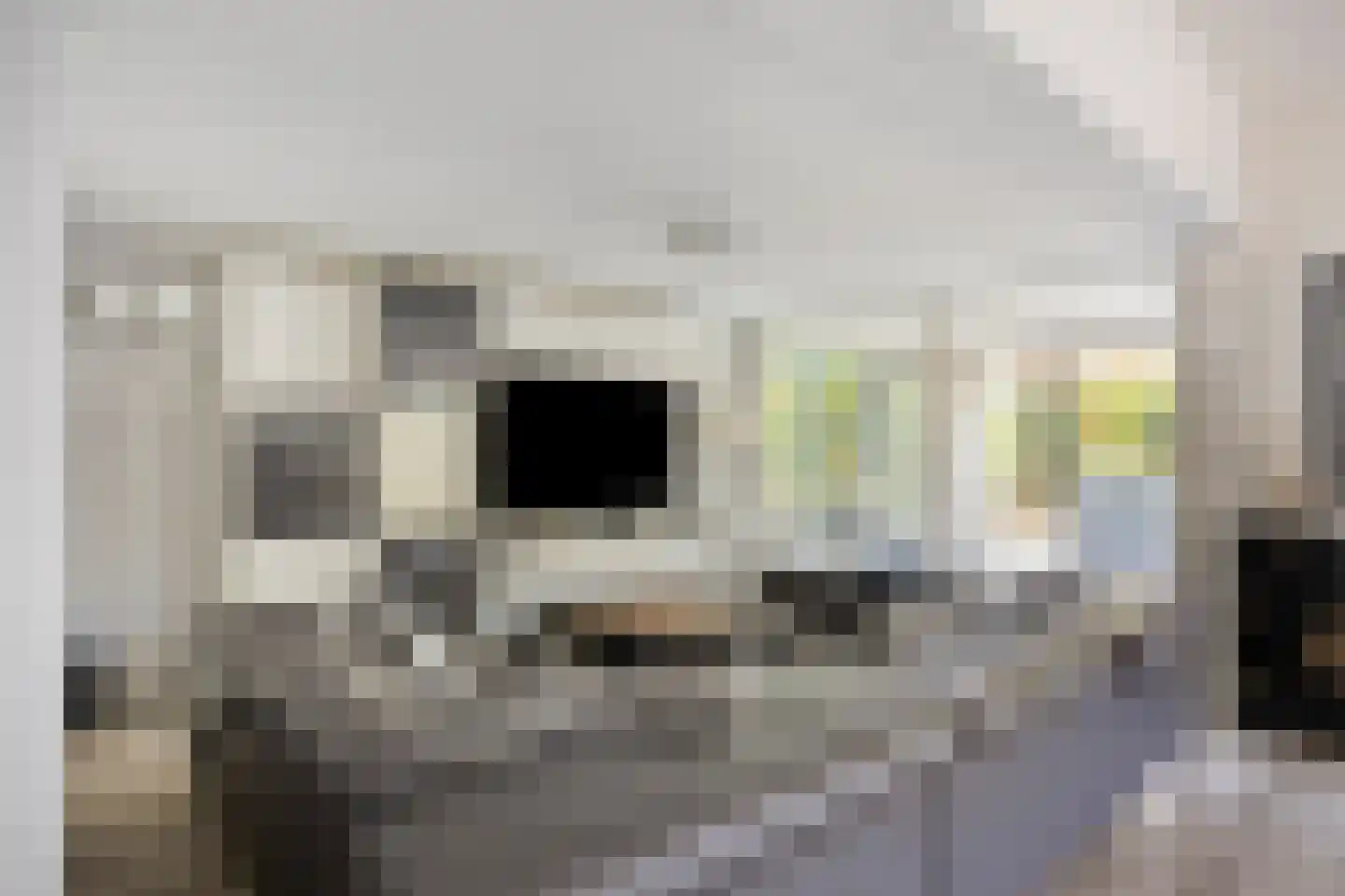 Zandeiland 45 Eindhoven thumbnail 12