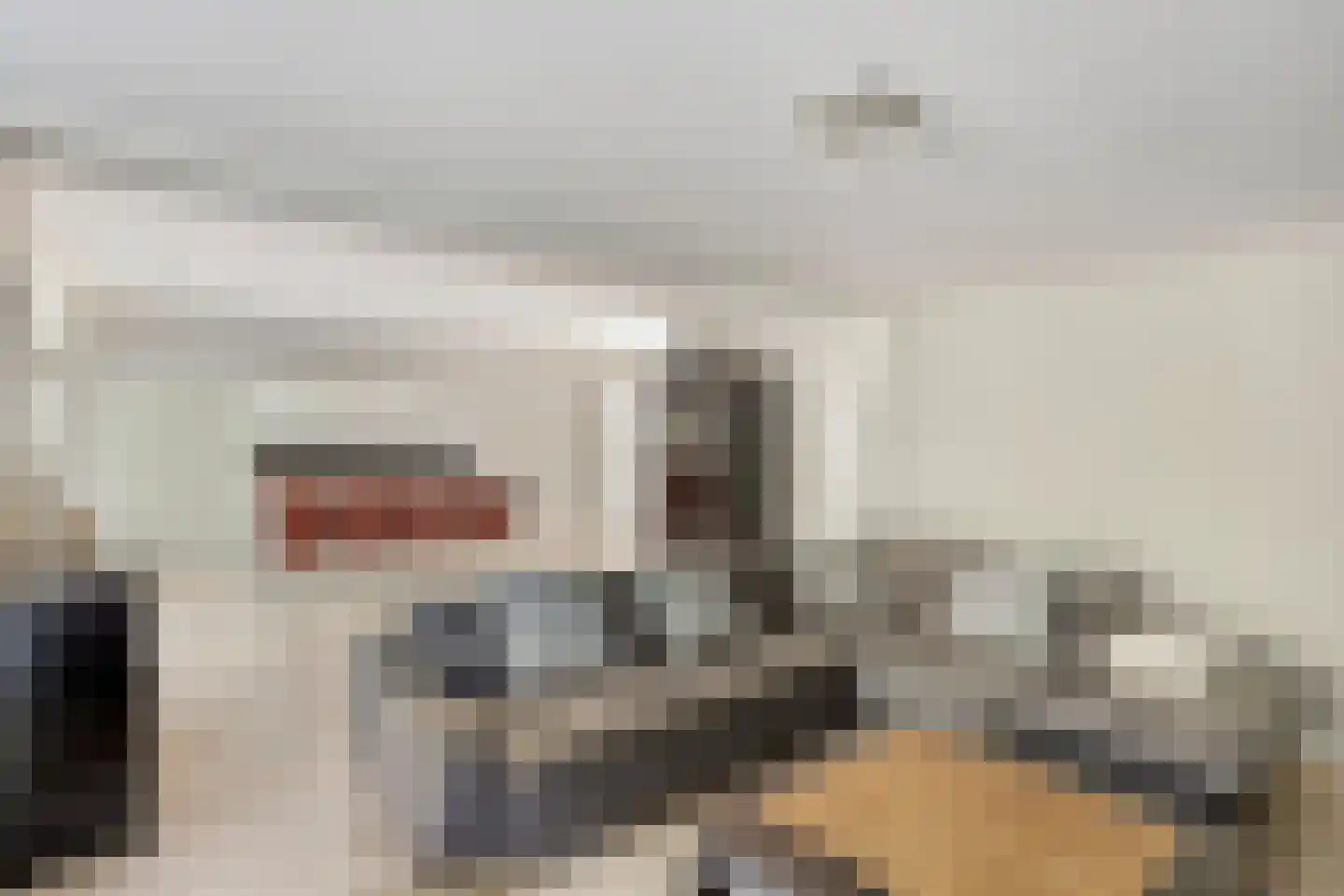 Zandeiland 45 Eindhoven thumbnail 14