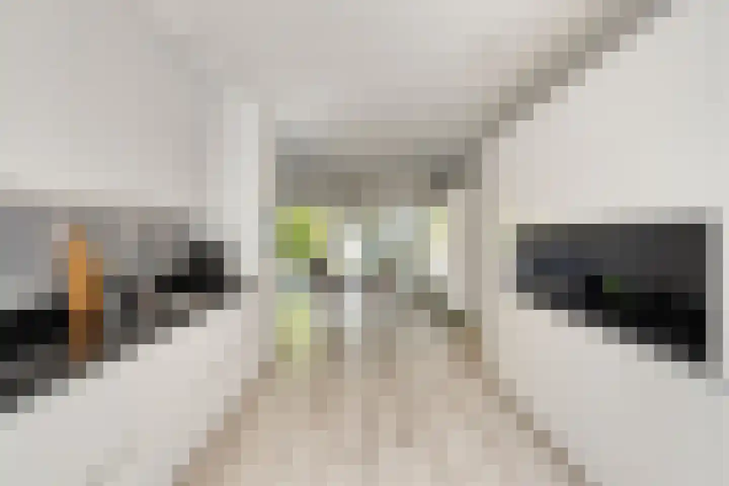 Zandeiland 45 Eindhoven thumbnail 19