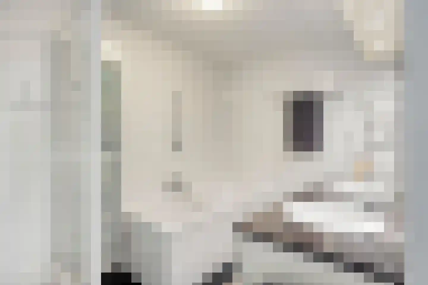 Zandeiland 45 Eindhoven thumbnail 30
