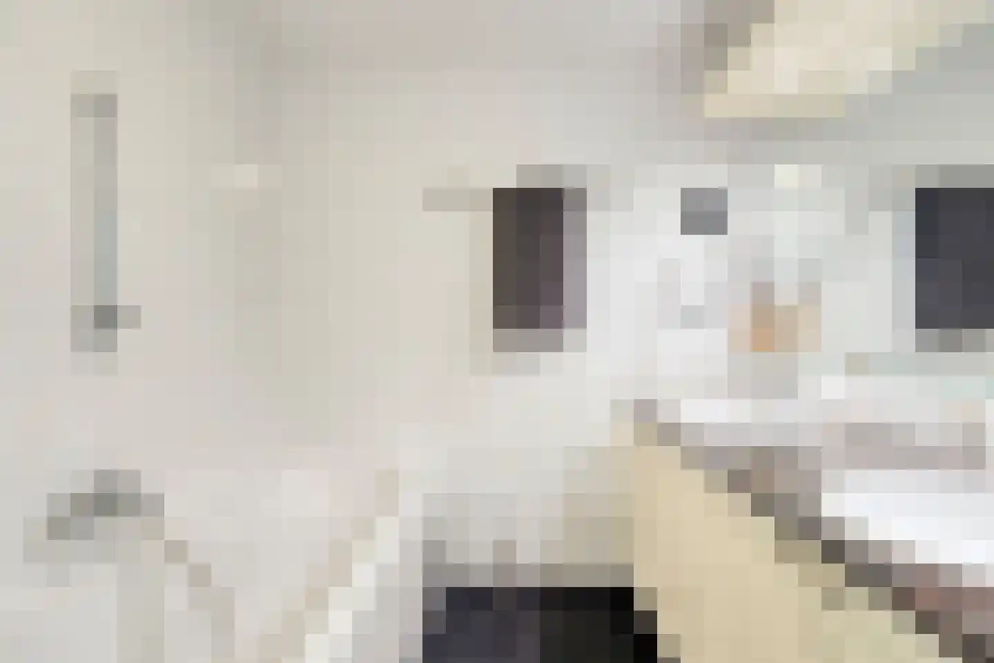 Zandeiland 45 Eindhoven thumbnail 31