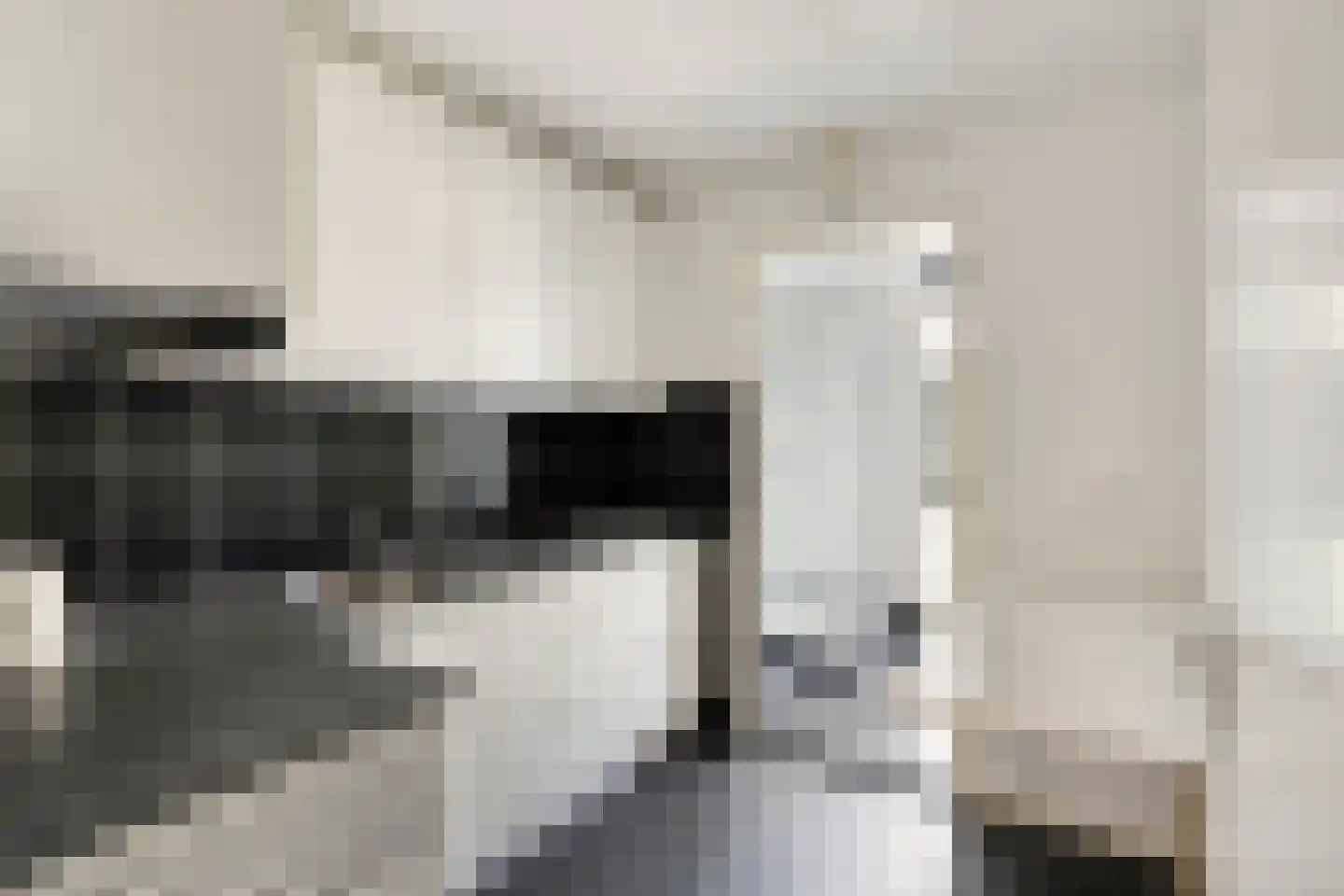Zandeiland 45 Eindhoven thumbnail 38