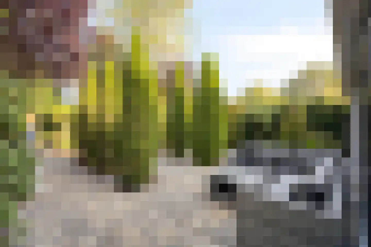 Zandeiland 45 Eindhoven thumbnail 4