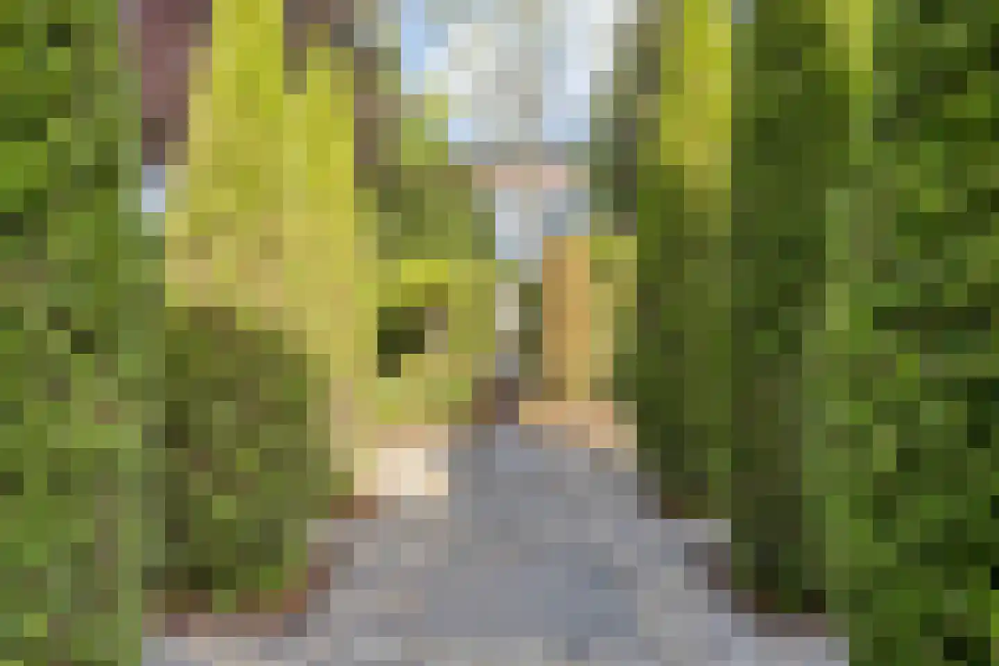 Zandeiland 45 Eindhoven thumbnail 45