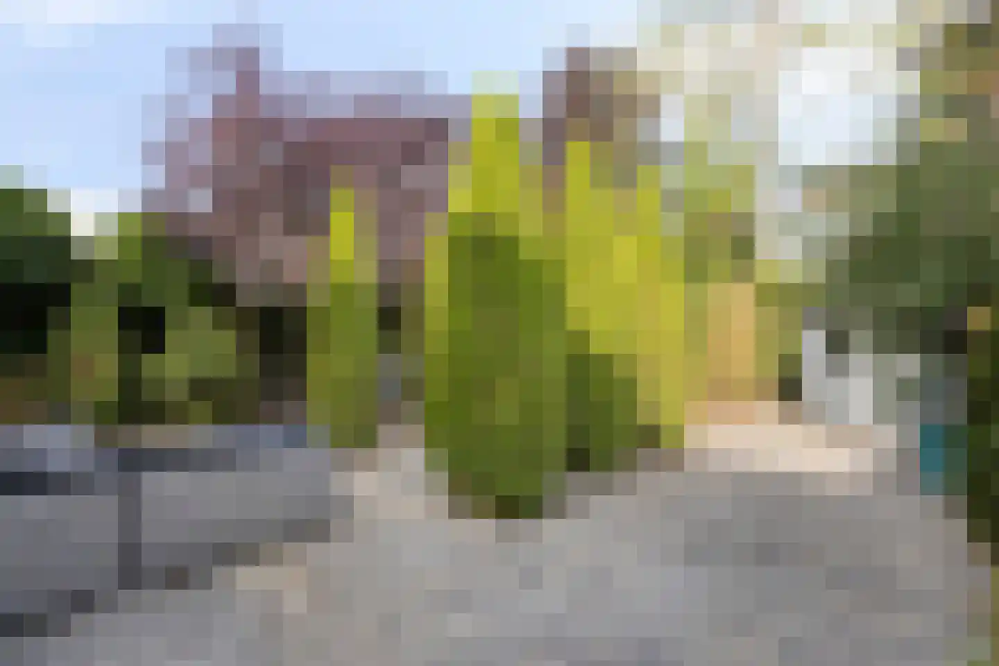 Zandeiland 45 Eindhoven thumbnail 46