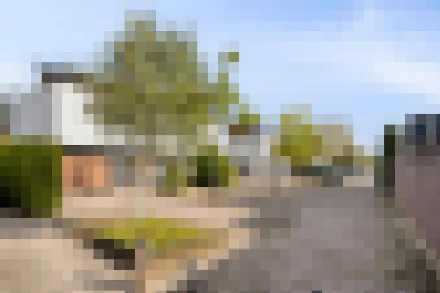 Zandeiland 45 Eindhoven thumbnail 7