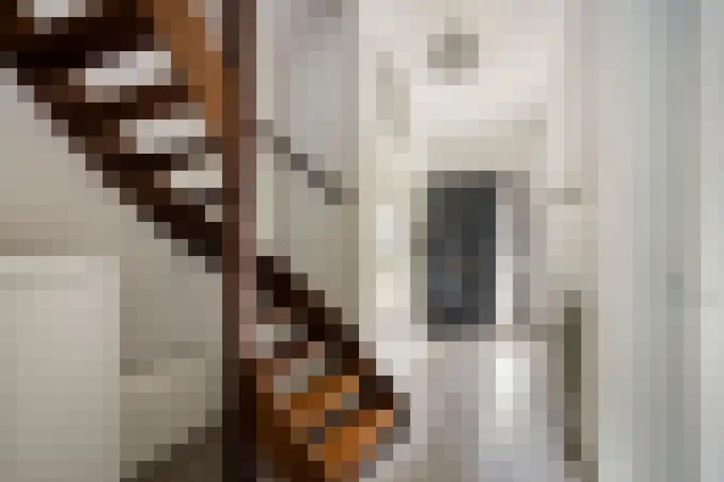 Zandeiland 45 Eindhoven thumbnail 9