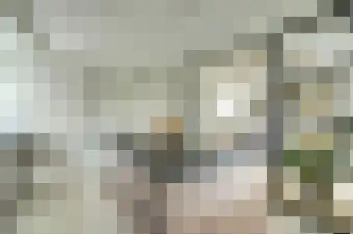 Zandeind 15 b Riel thumbnail 19