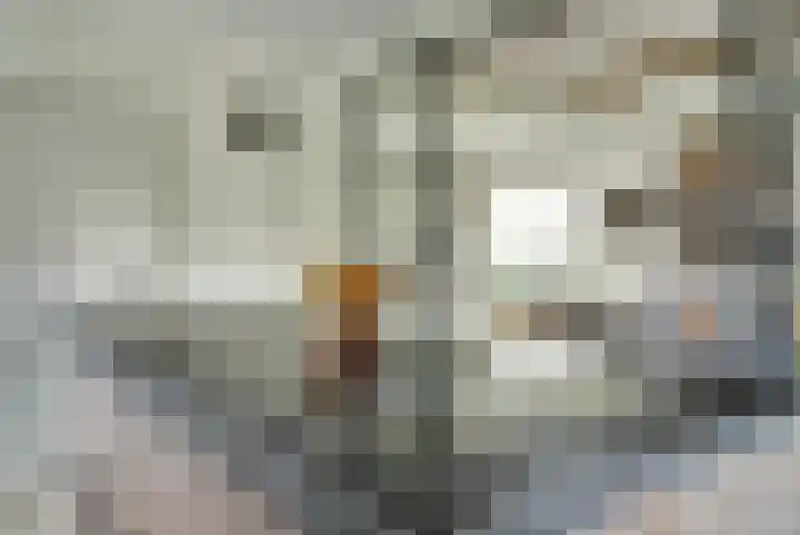 Zandeind 15 b Riel thumbnail 20