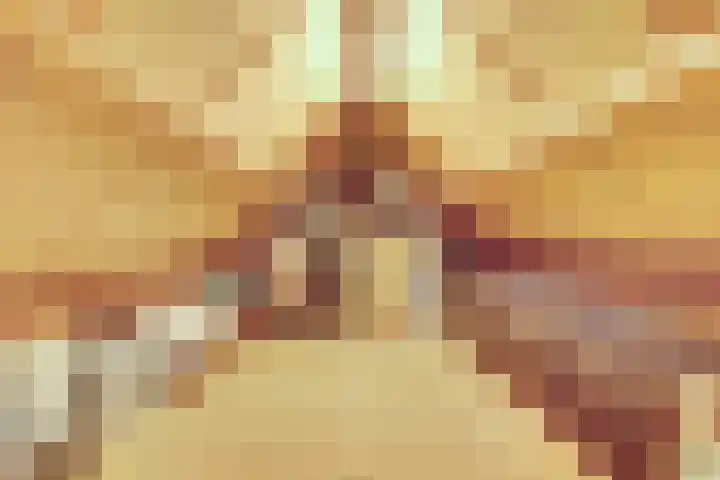 Zandeind 15 b Riel thumbnail 32