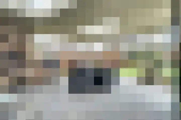 Zandeind 15 b Riel thumbnail 37