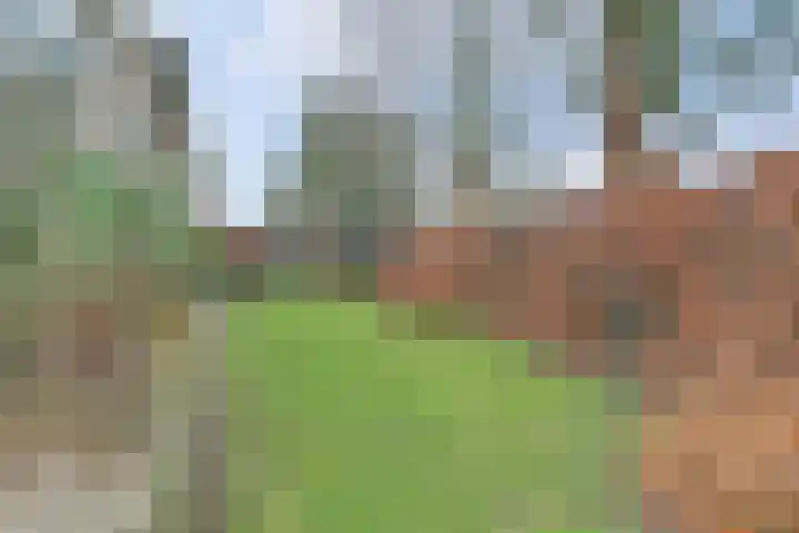 Zandeind 15 b Riel thumbnail 40