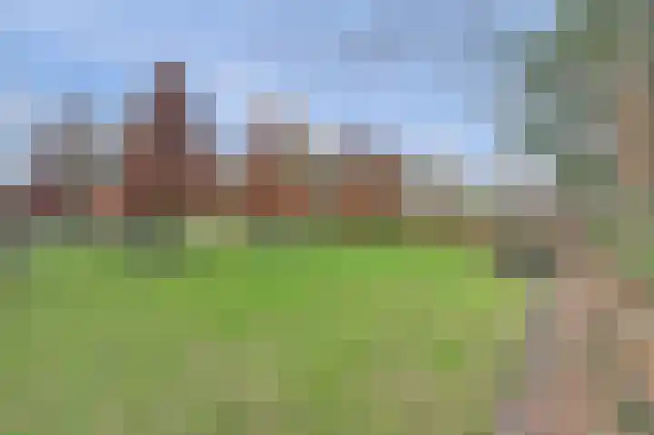 Zandeind 15 b Riel thumbnail 41