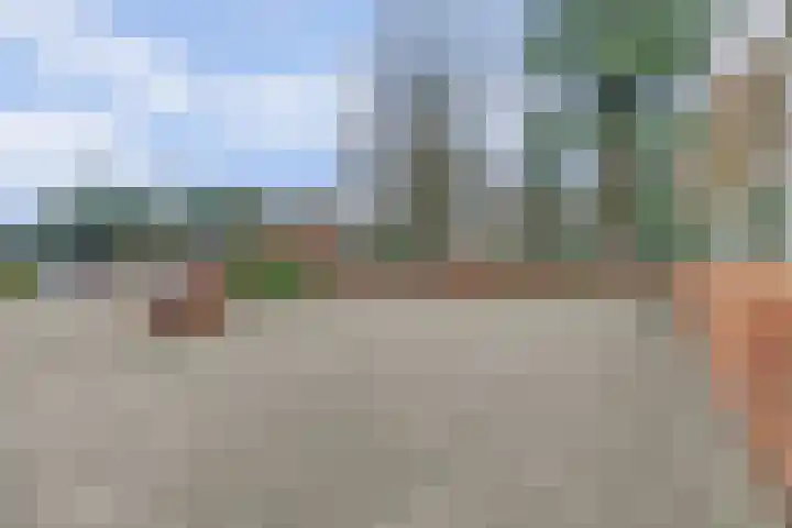 Zandeind 15 b Riel thumbnail 44