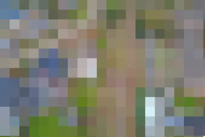 Zandeind 15 b Riel thumbnail 46