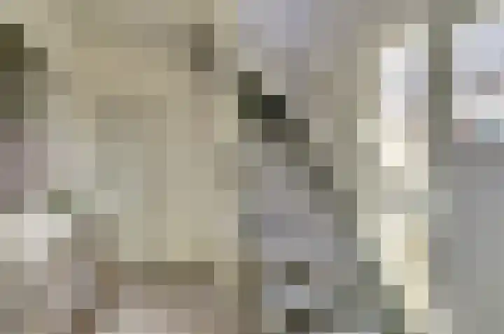 Zandeind 15 b Riel thumbnail 7