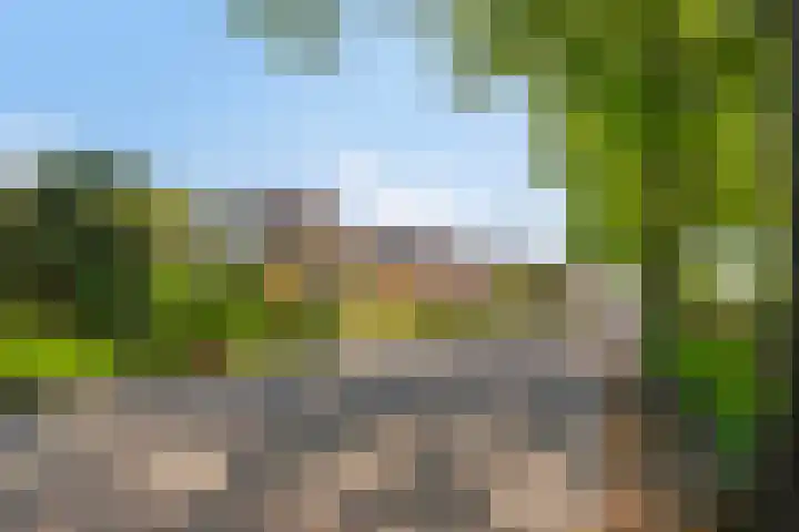 Zandeind 26 Riel thumbnail 12